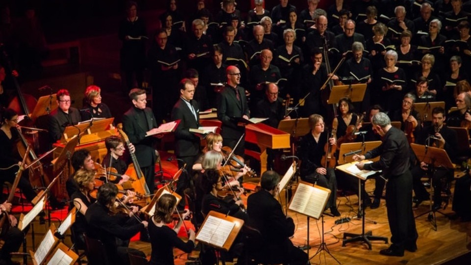 Cantoribus Hamme Mattheuspassie 2021  Ensemble a
